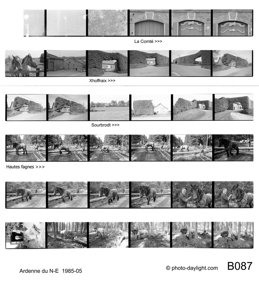 architecture rurale